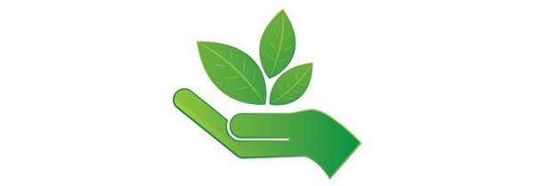 Hånd og blad