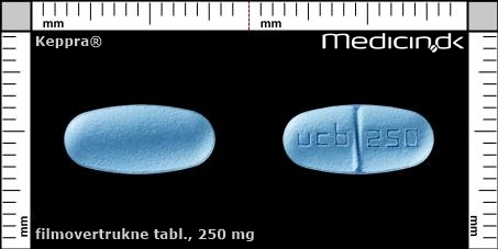filmovertrukne tabletter 250 mg 