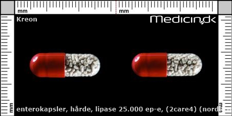 enterokapsler Lipase 25.000 EP-e (2care4) (Nordic Prime)