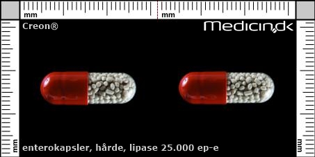 enterokapsler Lipase 25.000 EP-e 