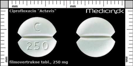 filmovertrukne tabletter 250 mg 