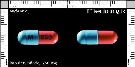 hårde kapsler 250 mg 