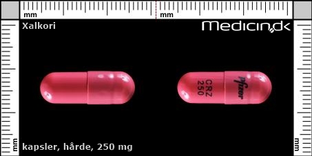 hårde kapsler 250 mg 