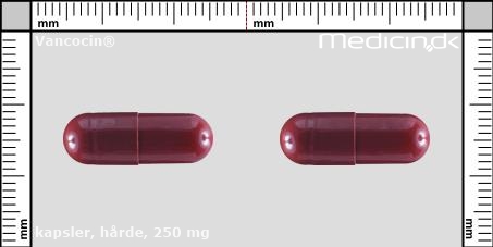 hårde kapsler 250 mg 