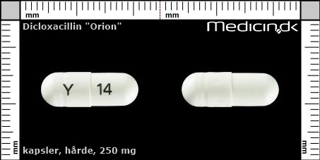 hårde kapsler 250 mg 