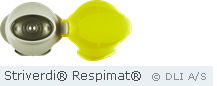 Striverdi® Respimat®
