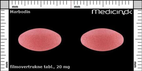 filmovertrukne tabletter 20 mg 