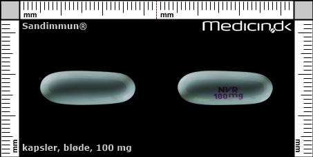 bløde kapsler 100 mg 