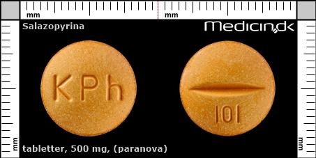 tabletter 500 mg (Paranova)