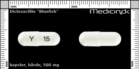 hårde kapsler 500 mg 