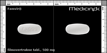 filmovertrukne tabletter 500 mg 