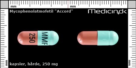 hårde kapsler 250 mg 
