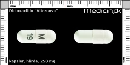 hårde kapsler 250 mg 