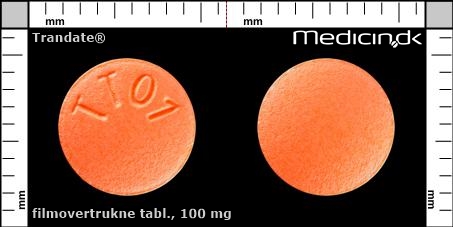 filmovertrukne tabletter 100 mg 