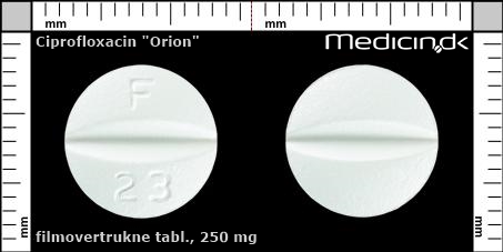 filmovertrukne tabletter 250 mg 
