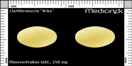 filmovertrukne tabletter 250 mg 