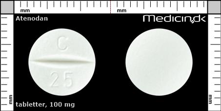 tabletter 100 mg 