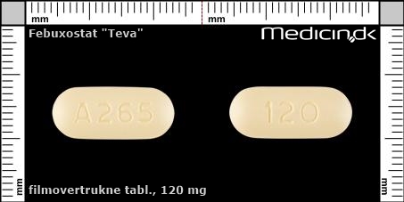 filmovertrukne tabletter 120 mg 