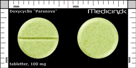 tabletter 100 mg 
