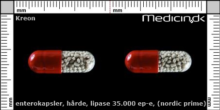 enterokapsler Lipase 35.000 EP-e (Nordic Prime)