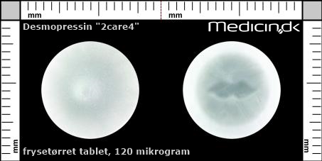 frysetørrede tabletter 120 mikrogram 