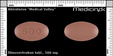 filmovertrukne tabletter 500 mg 