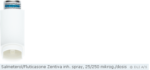 Salmeterol/Fluticasone Zentiva inh. spray, 25/250 mikrog./dosis