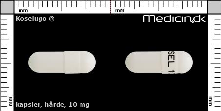 hårde kapsler 10 mg 