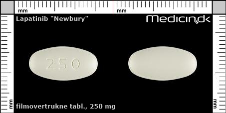 filmovertrukne tabletter 250 mg 