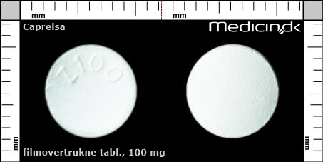filmovertrukne tabletter 100 mg 